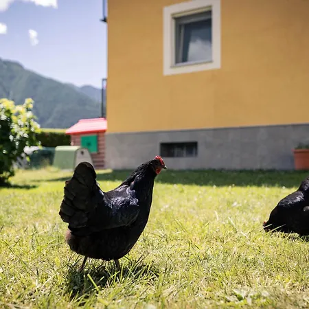 לינה וארוחת בוקר L'oura