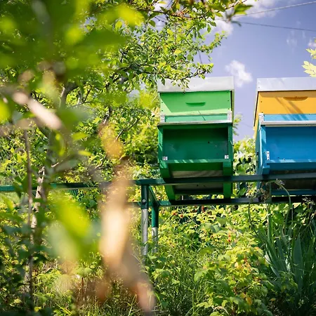 לינה וארוחת בוקר L'oura 3*