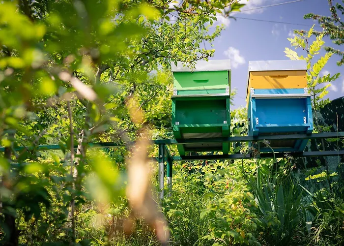 Alojamento de Acomodação e Pequeno-almoço L'oura 3*